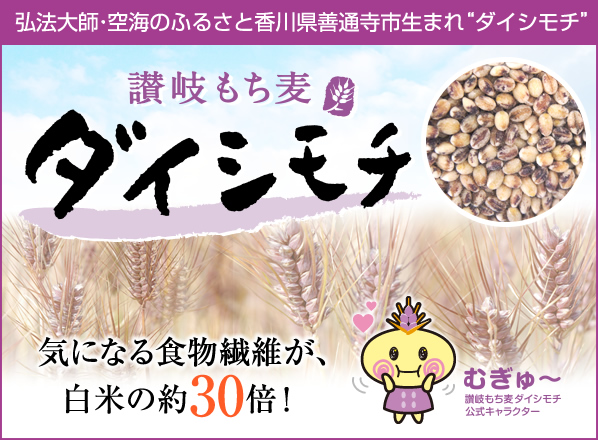 弘法大師・空海のふるさと香川県善通寺市生まれ”ダイシモチ”