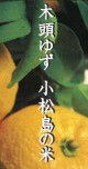 Ƭ椺