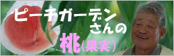 ԡǥ󤵤