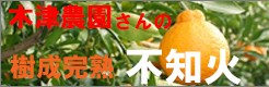 ࡡβ